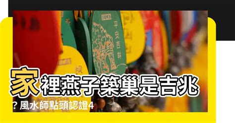 家裡燕子築巢|燕子築巢＝風水寶地 民俗專家：這「4個生肖」準備在下半年一飛。